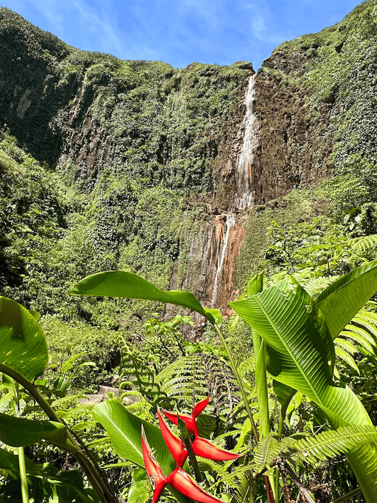 Lush tropical waterfall with vibrant green foliage and bright red flowers in a scenic jungle setting.