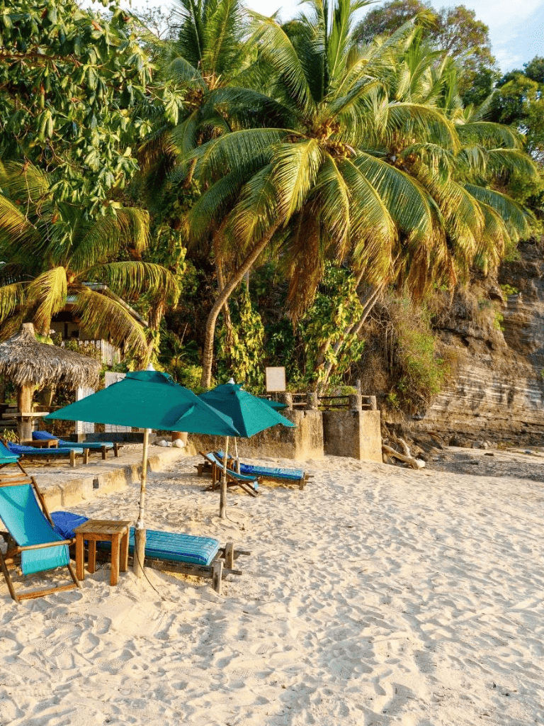 Tropical beach with palm trees, lounge chairs, and umbrellas on sandy shore, perfect for relaxation.