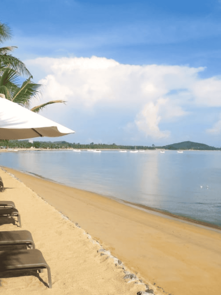 Beach side with lounge chairs and umbrellas, calm water, tropical palm trees, and clear sky.