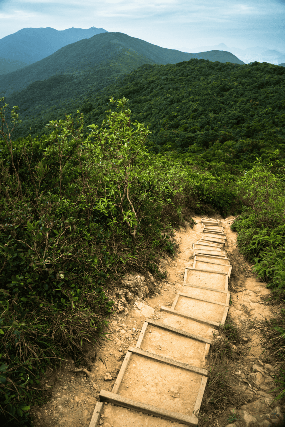 Steep mountain trail with wooden steps surrounded by lush green forest, scenic hiking path, nature landscape, mountain adventure, outdoor exploration.