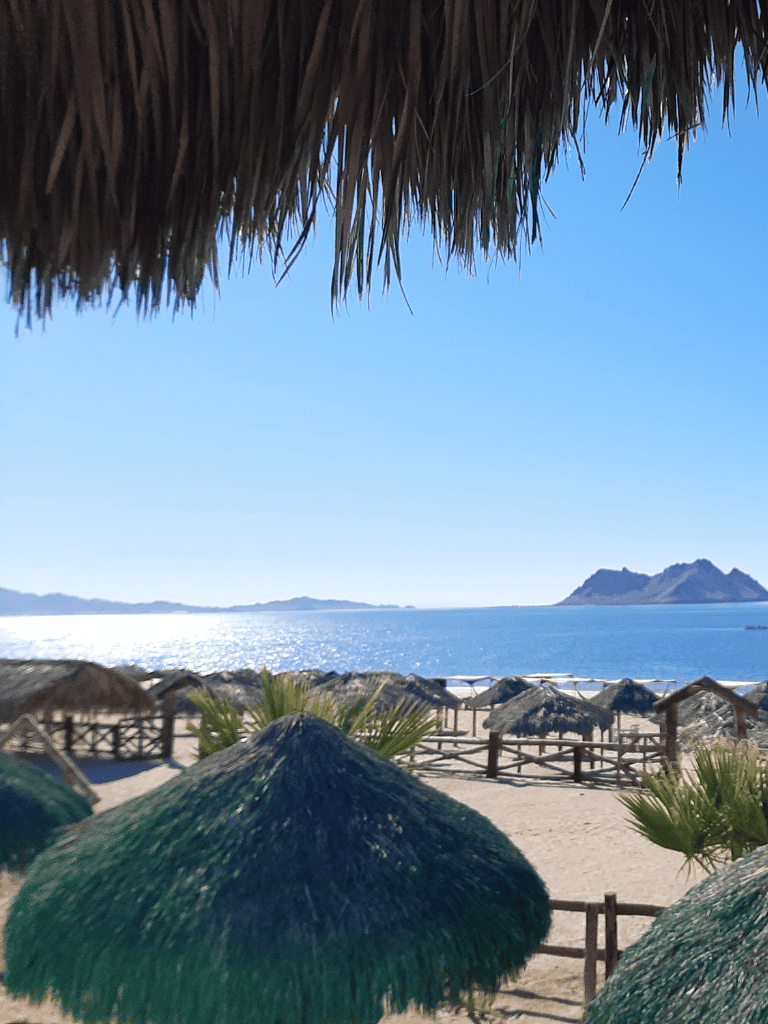 Relaxing beach scene with straw umbrellas and ocean view for travel and leisure SEO.
