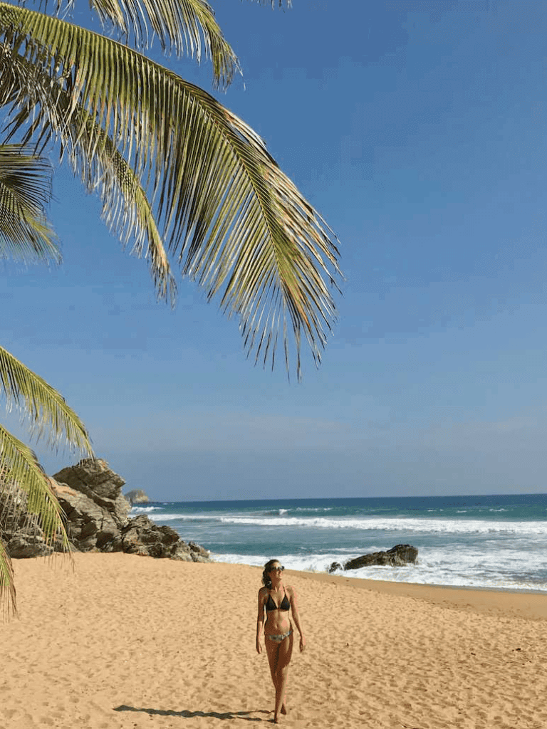 Relaxing beach scene with palm trees, sandy shore, and blue ocean for travel and vacation destinations.