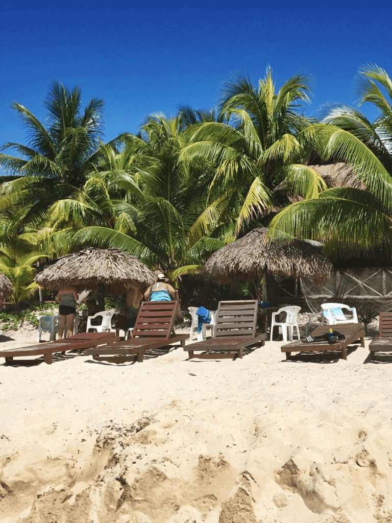 Palm trees and tropical beach with lounge chairs and thatched huts in a serene seaside setting.