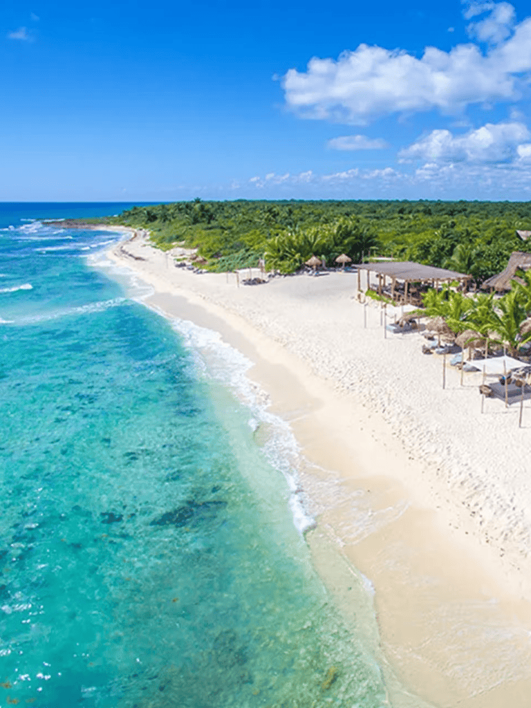 Pristine beach with turquoise waters and lush greenery, ideal for relaxation and vacation getaways.