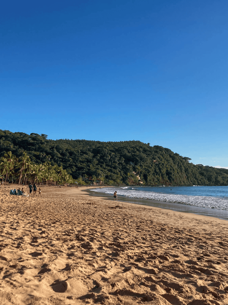 Serene beach with golden sand, lush greenery, and clear blue sky, perfect for relaxation and outdoor activities.