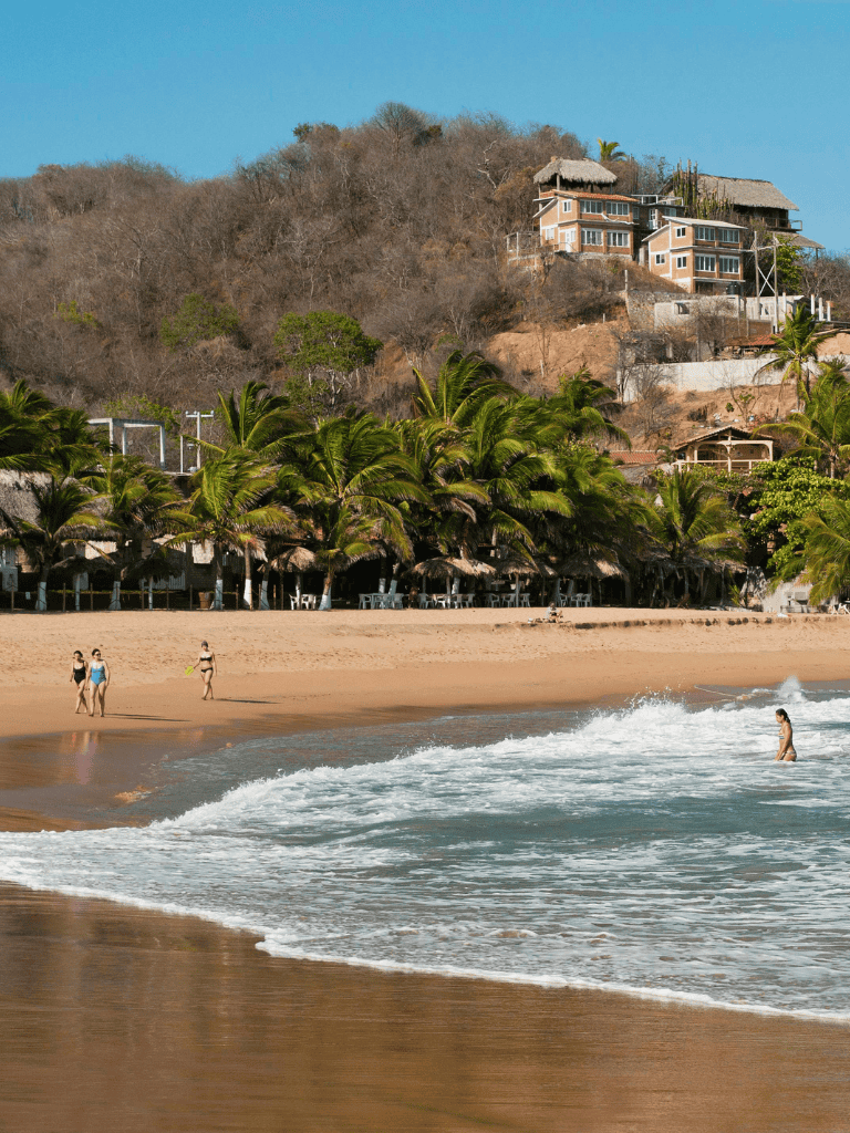 Sunny beach with palm trees and hillside villas, ideal for vacation planning.