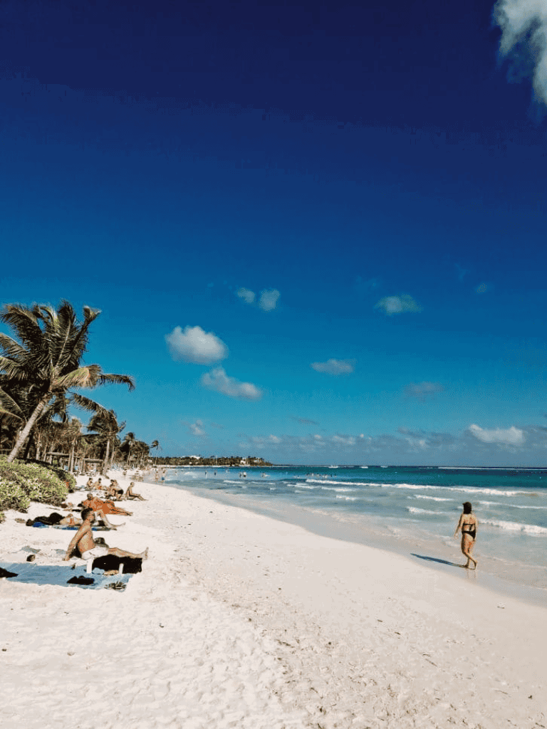 Beach with palm trees, sunny weather, and people enjoying the shoreline, perfect for travel and vacation planning.
