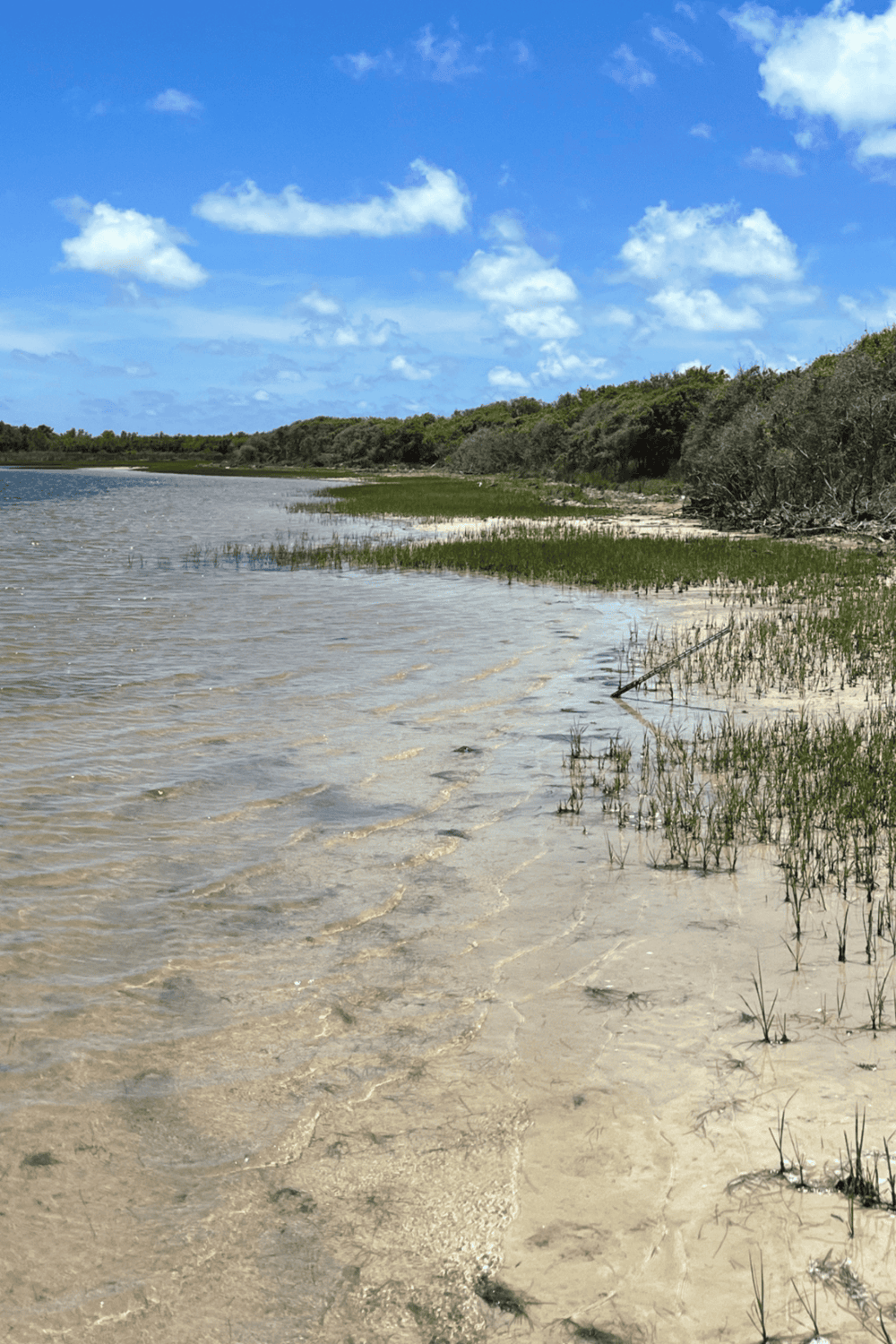 Pristine coastal shoreline with clear water, sand dunes, and lush greenery under blue skies.