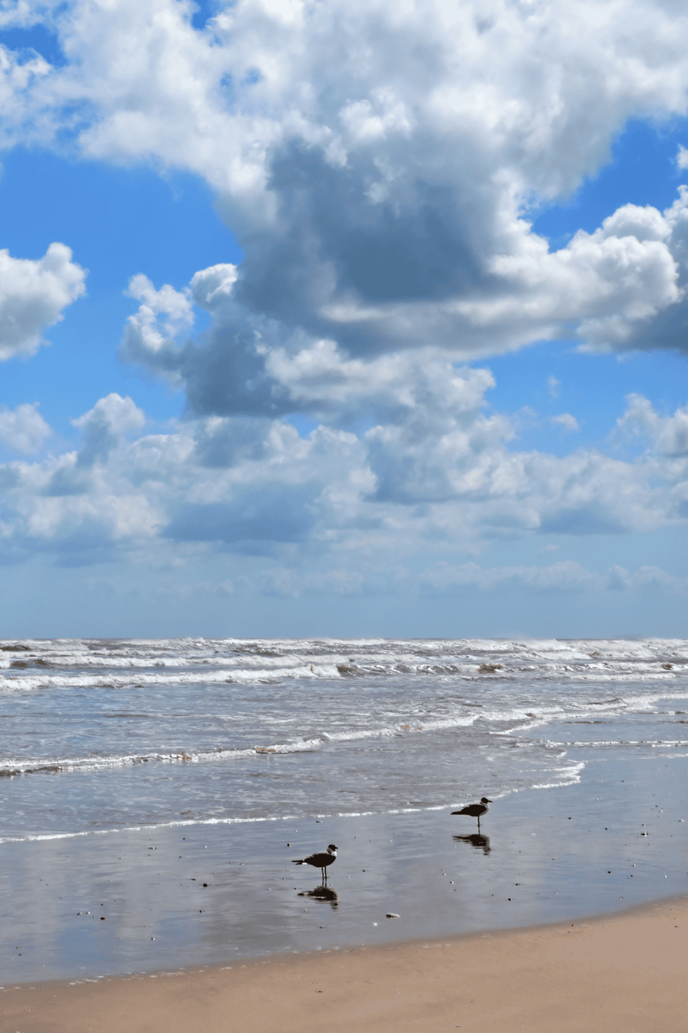 Seaside beach with seagulls, cloudy sky, surf, and sand | QuestForDirections SEO image.