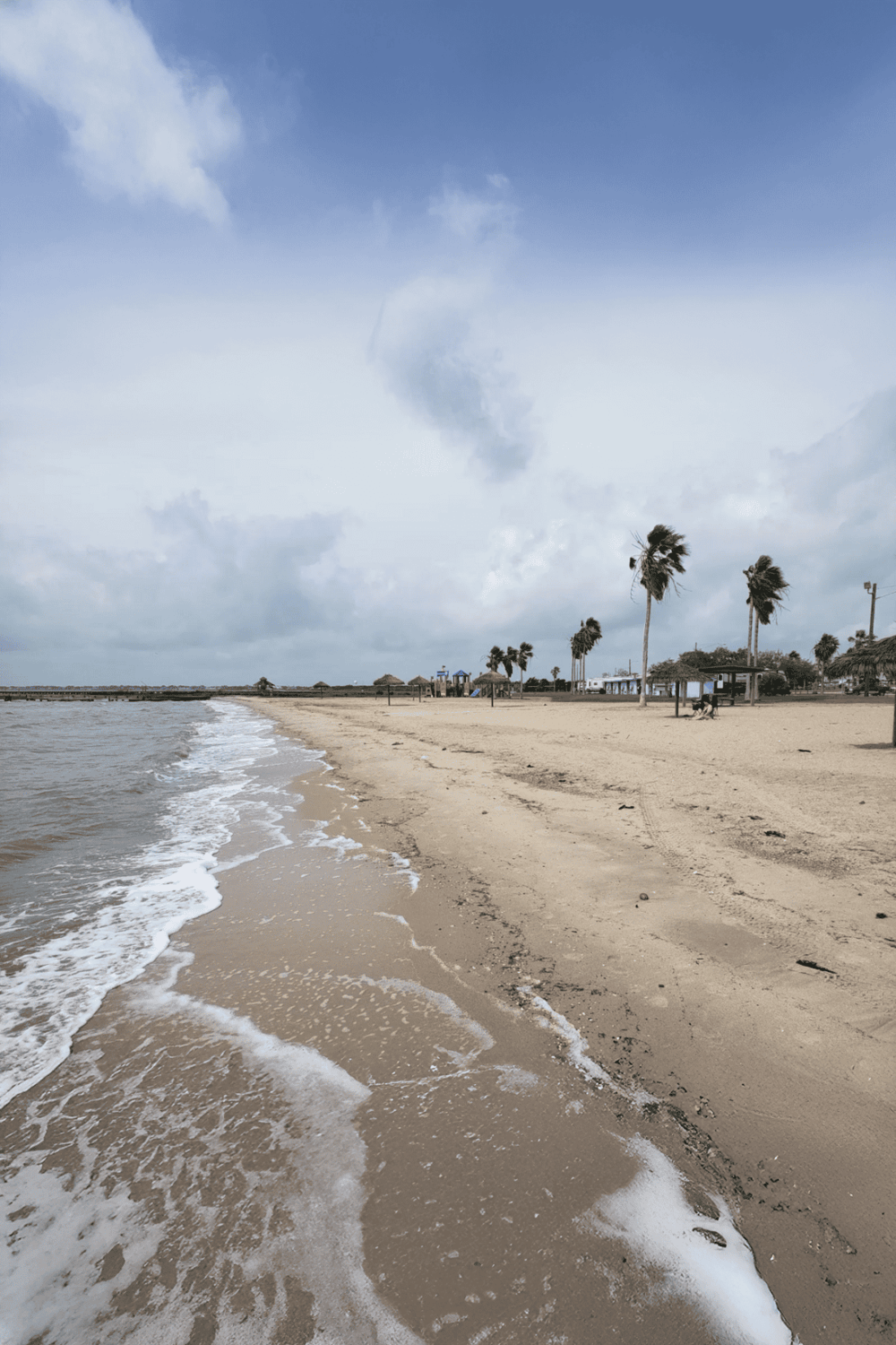 Sunny beach with palm trees and shoreline, ideal for surfing and coastal adventures.