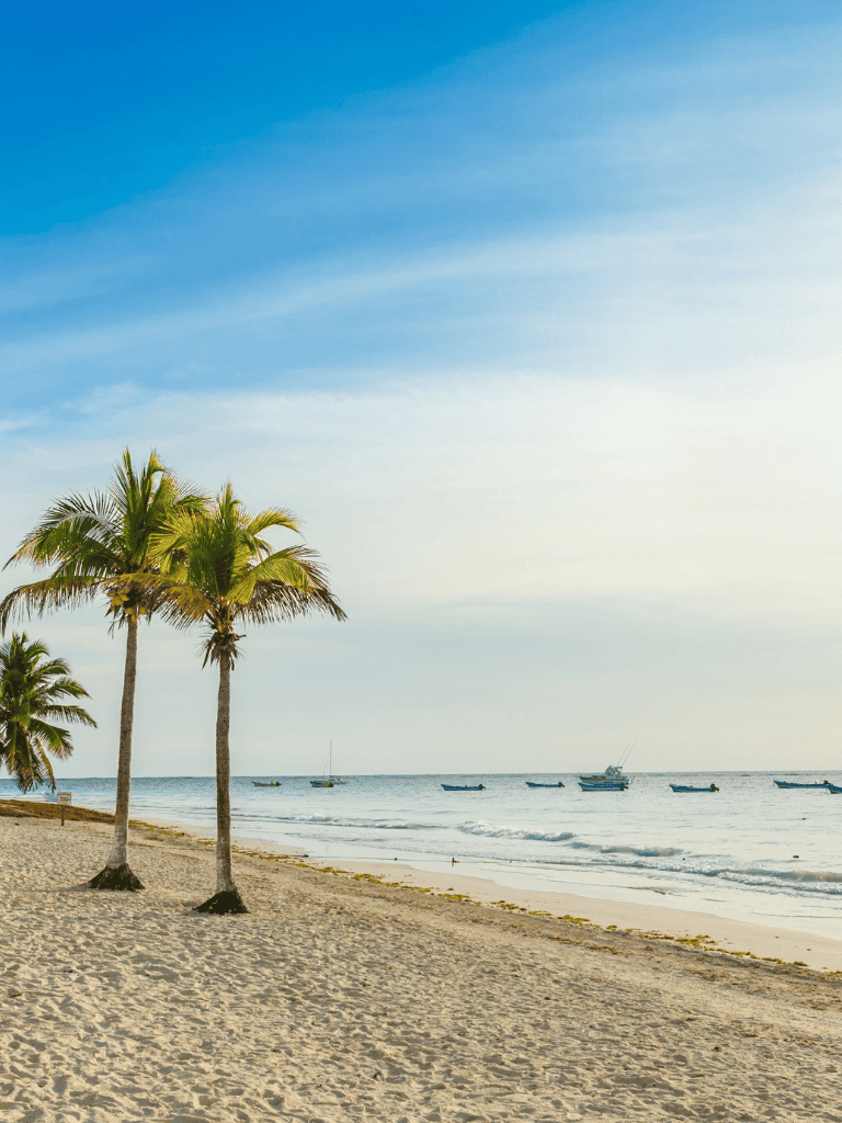 Relaxing beach scene with palm trees and boats, perfect for travel planning and vacation destinations.
