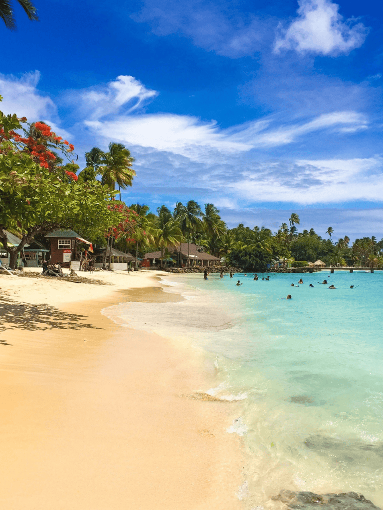 Relaxing tropical beach with turquoise water and palm trees.