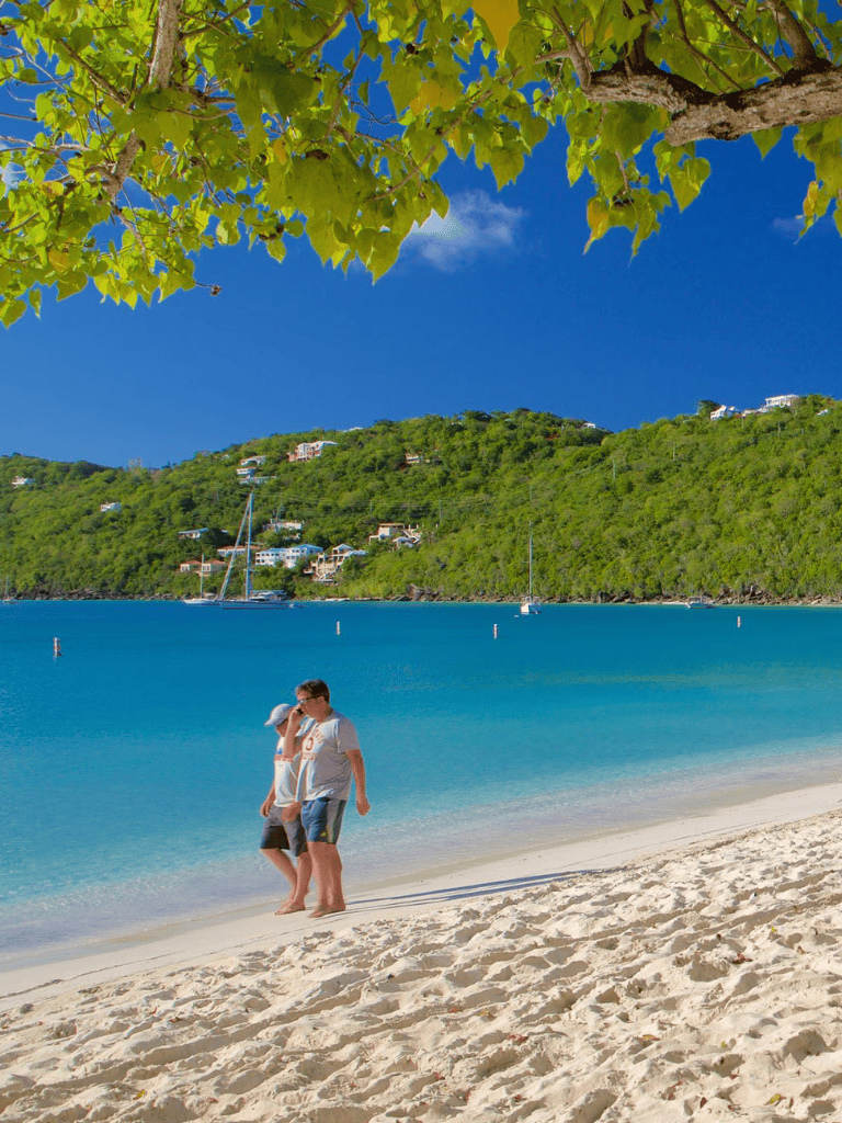 Relaxing beach scene with children walking along sandy shore under a leafy tree canopy.