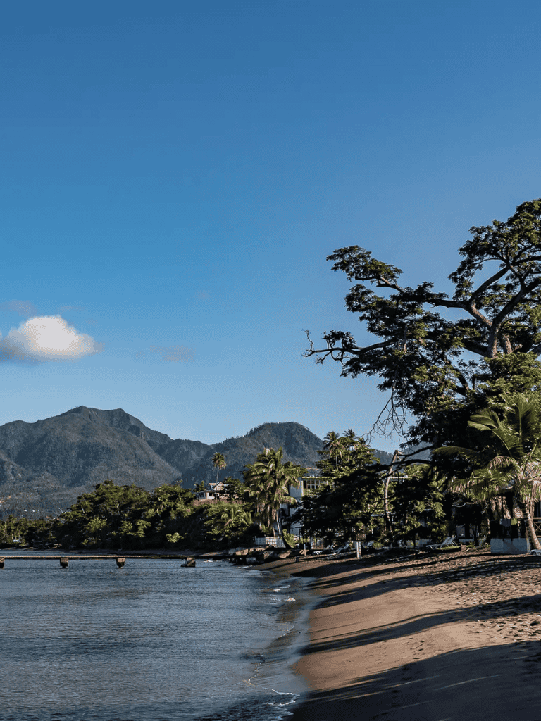 Serene beach with palm trees, mountains, and clear blue sky in a tropical coastal landscape.