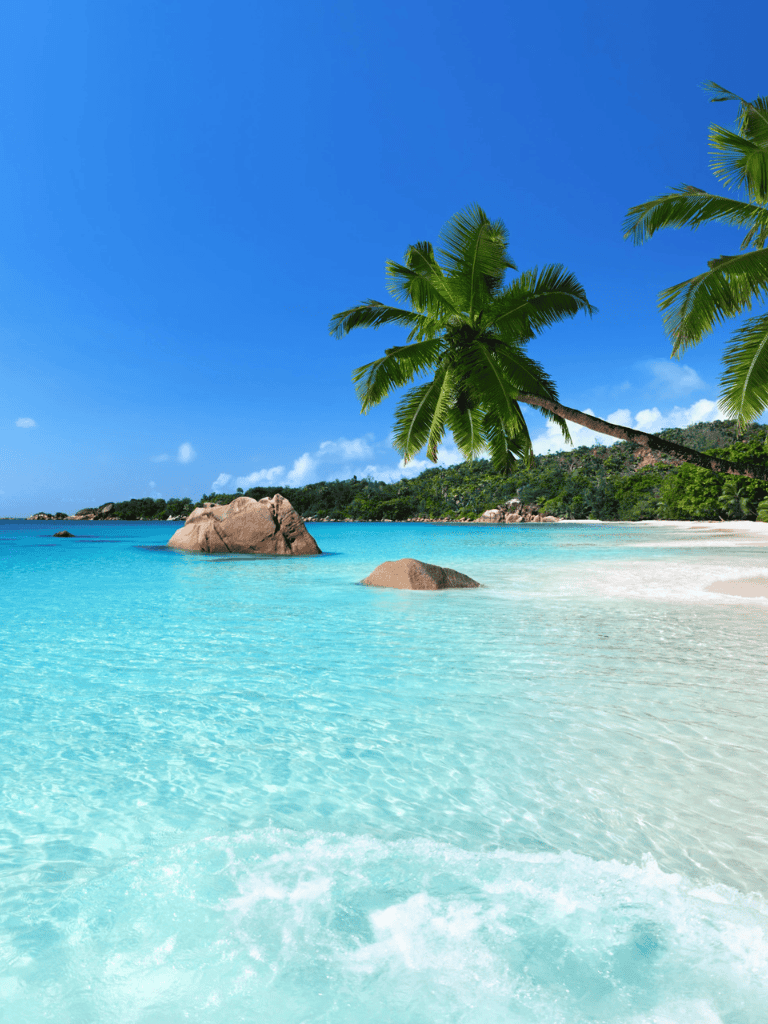 Tropical beach with palm trees, turquoise water, and rocks. Perfect for travel and vacation destinations.