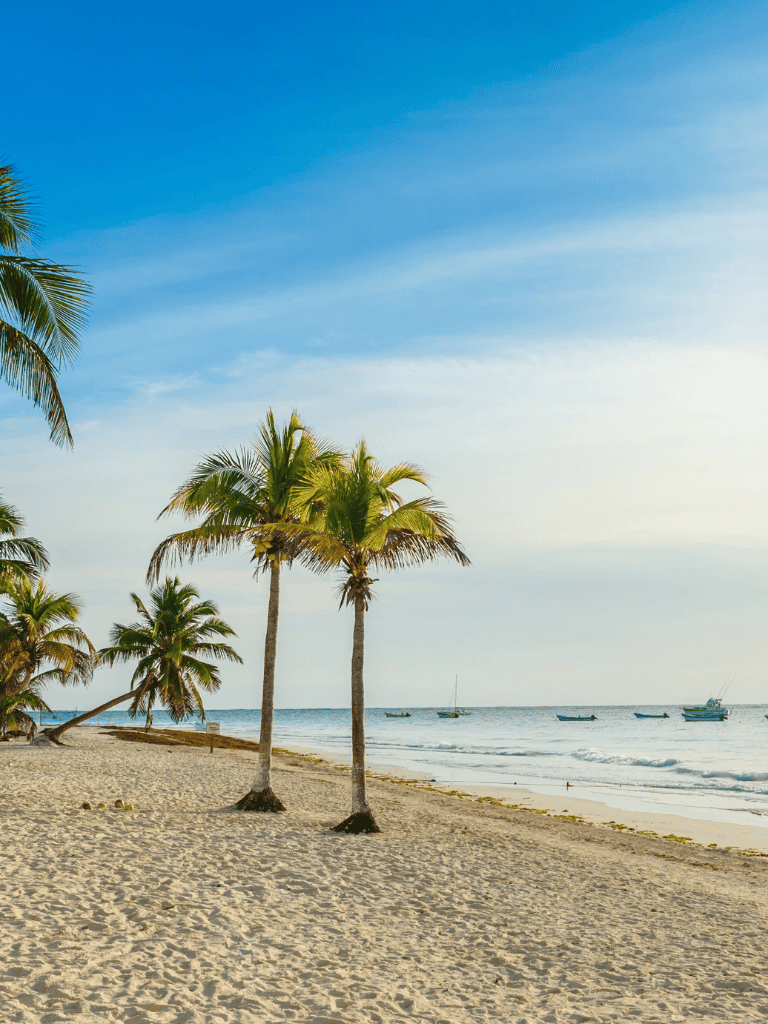 Tranquil tropical beach with palm trees and boats, Perfect for relaxation and travel inspiration.