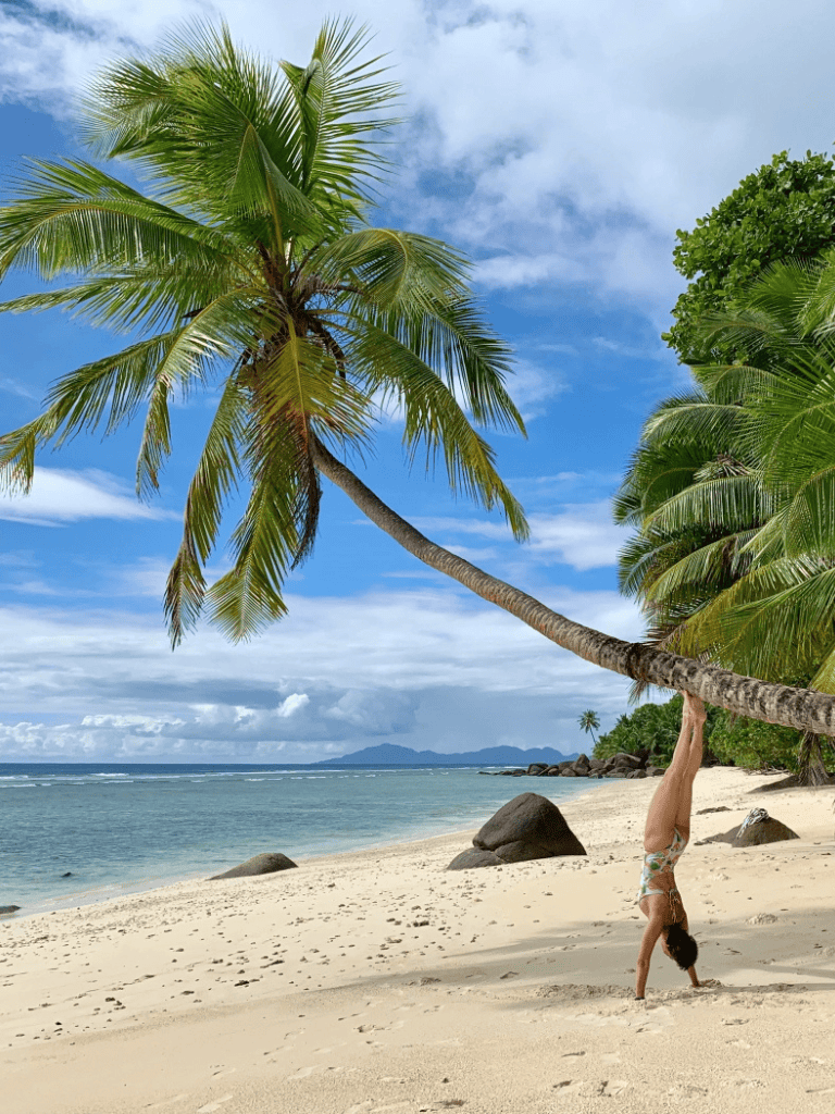 Tropical beach with palm trees and person doing handstand on sandy shore.