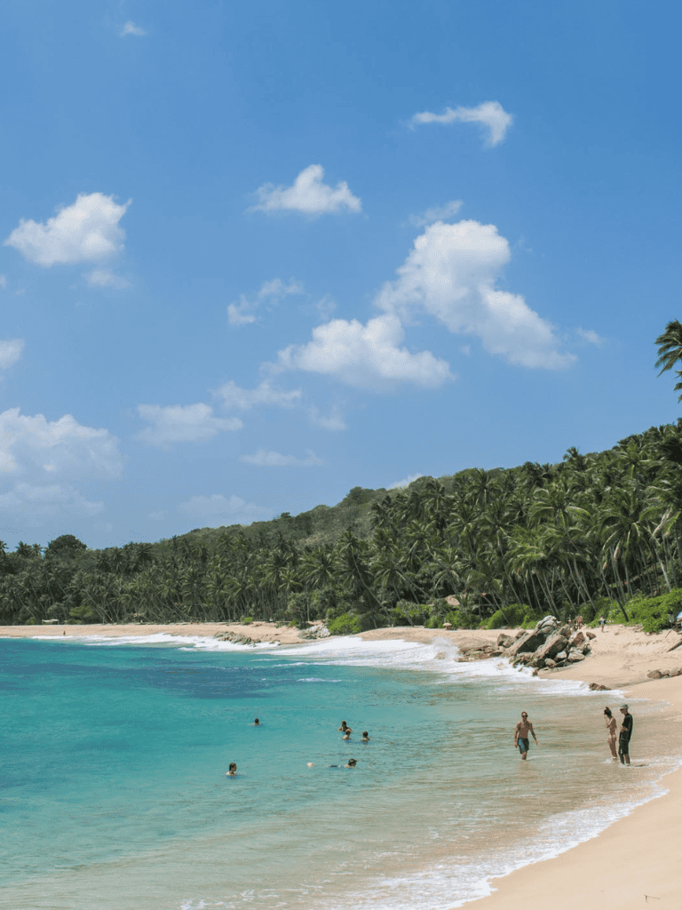 1. Beautiful tropical beach with clear blue water and palm trees.