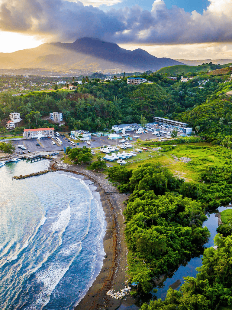 Secluded marina with boats along lush green coastline and scenic mountain backdrop.