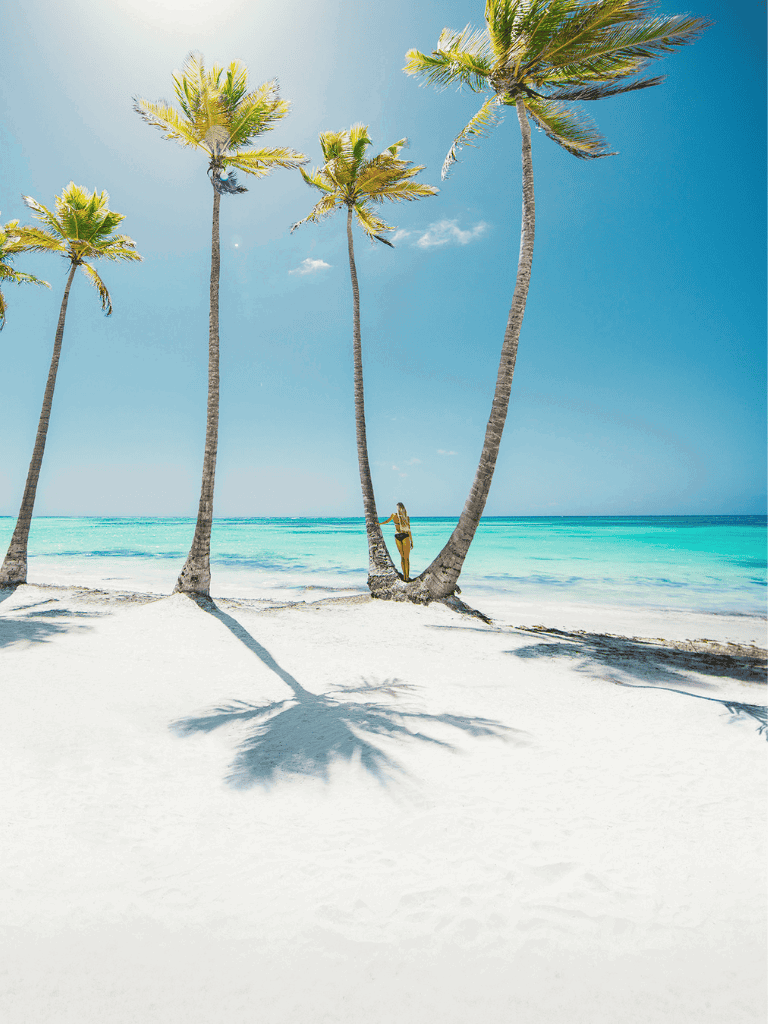 Beach with palm trees, sunny sky, and clear ocean water, perfect for tropical destination trips.