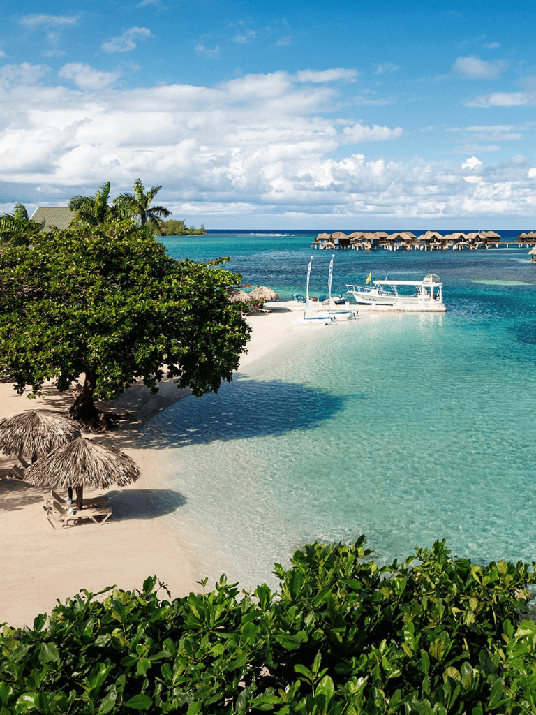 Pristine tropical beach with overwater bungalows, clear turquoise water, and lush greenery, perfect for paradise excursions.