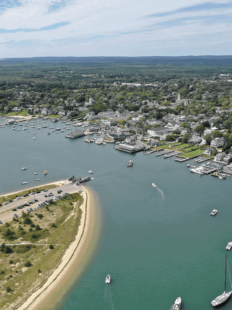 Aerial view of a scenic waterfront town with boats, marina, and lush green landscape.