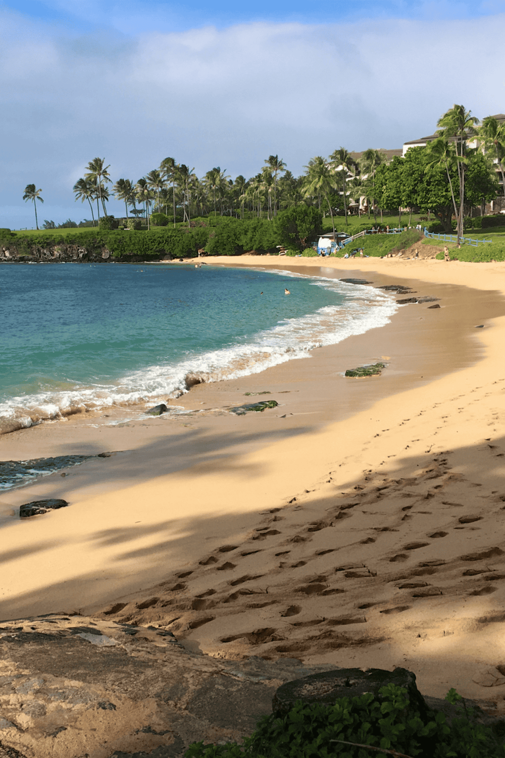 Relaxing tropical beach with palm trees and ocean splash, perfect destination for vacations and leisure.