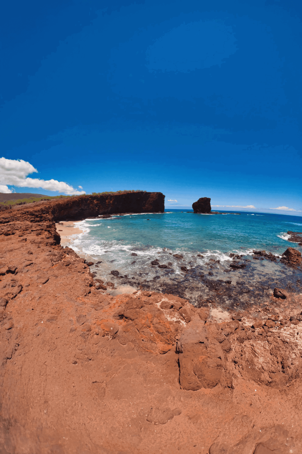 Vibrant coastal landscape with red cliffs and blue ocean under a clear sky.