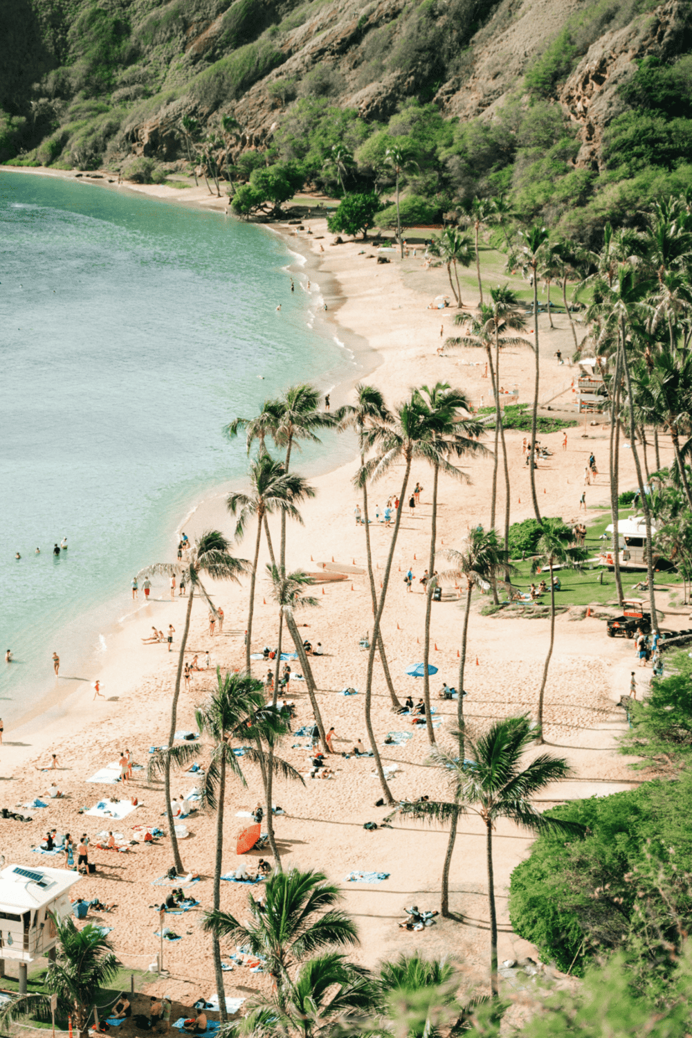 Relaxing Hawaii beach with palm trees and ocean view, perfect for vacation and travel planning.