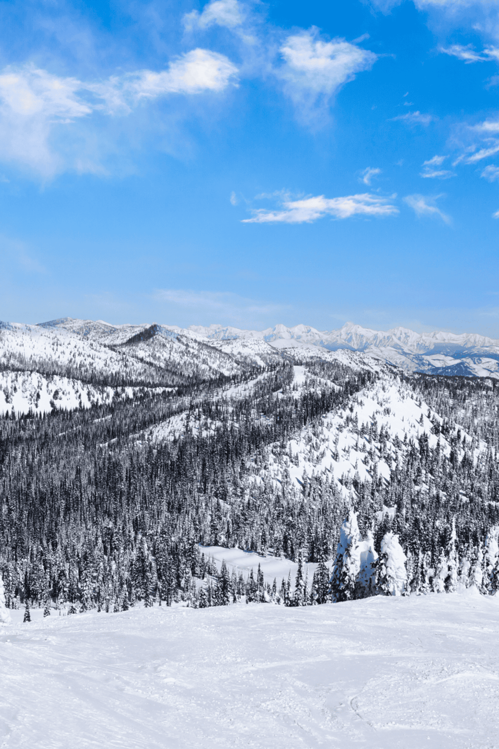 Snow-covered mountain landscape with pine forests and a bright blue sky, ideal for adventure travel and outdoor exploration.