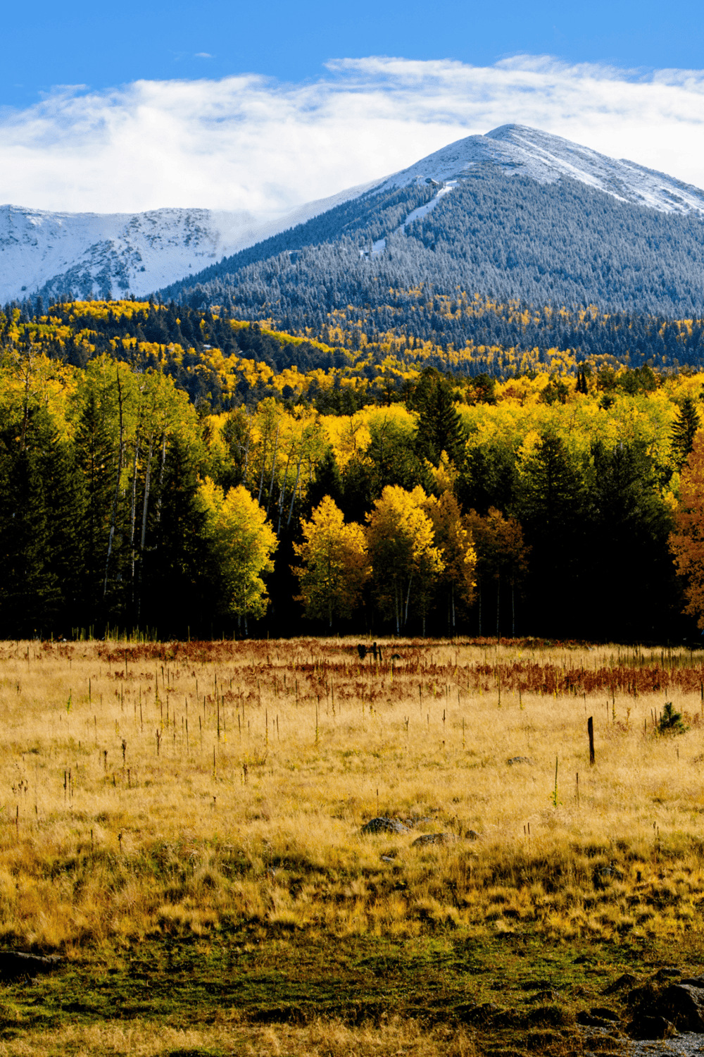 Snow-capped mountain with colorful autumn forest in Oregon, scenic outdoor nature landscape, QuestForDirections, Oregon mountain guide, outdoor adventure, travel.
