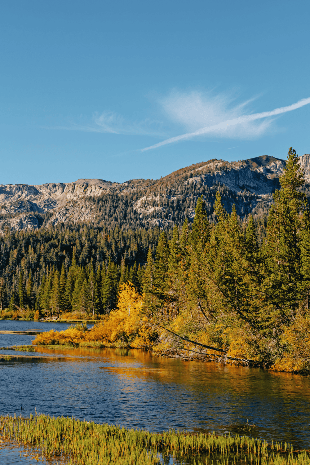 Vibrant autumn landscape with mountain lake and lush pine forest - perfect for outdoor adventures.
