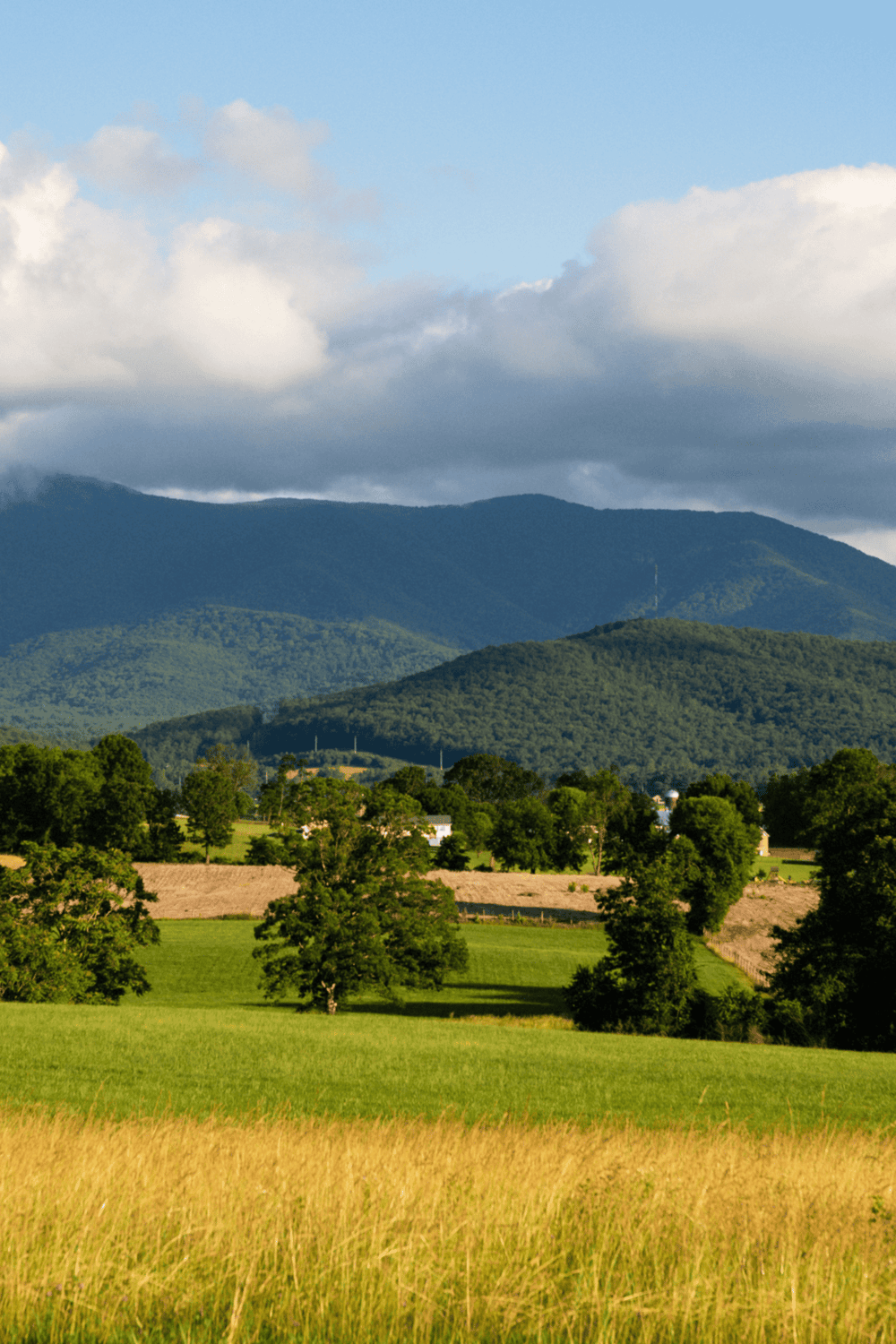 Vast mountain landscape with lush green forests and open fields, ideal for outdoor adventures and nature exploration.