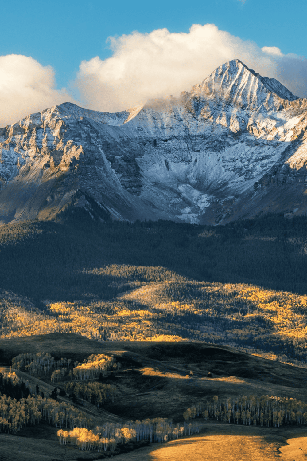 Snow-capped mountain peak with lush forested landscape in the foreground.