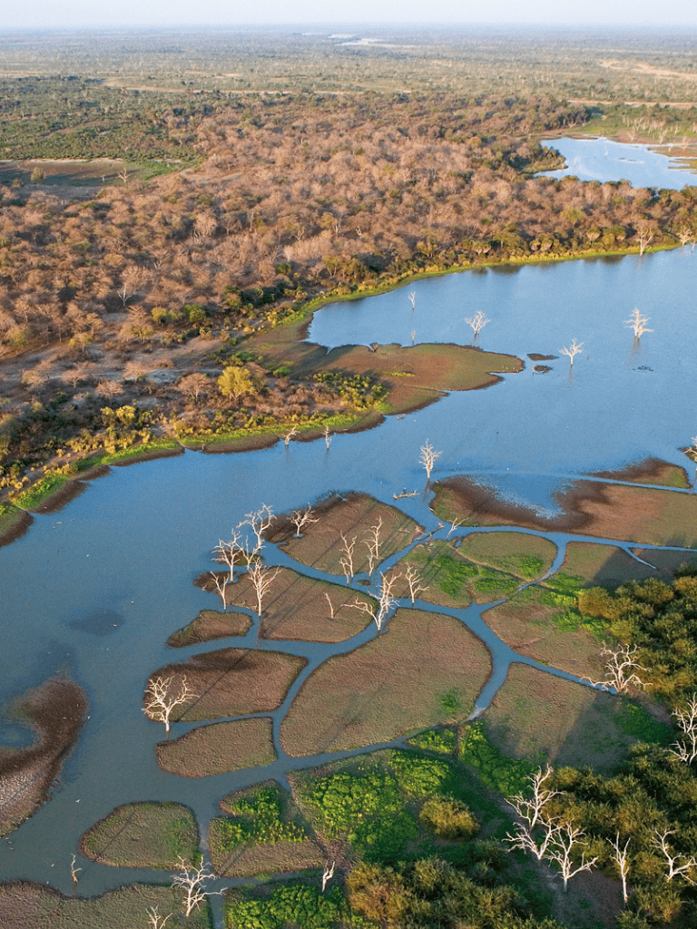 Serene wetlands with water channels and trees, ideal for outdoor exploration and birdwatching.