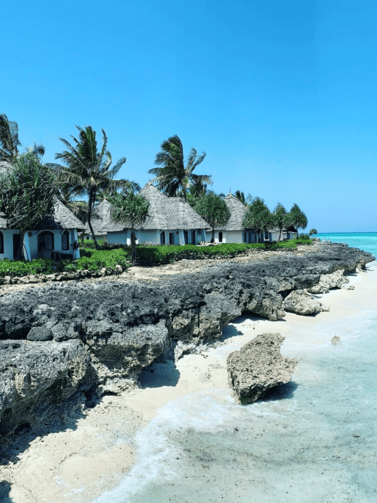 Beachfront cottages with palm trees and rocky shoreline on a sunny tropical island.