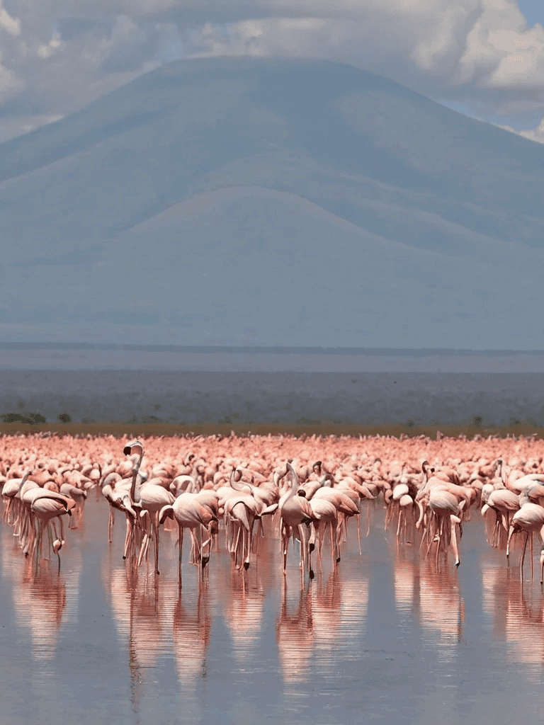 Flamingos in a shallow lake with mountains in the background, scenic wildlife habitat.