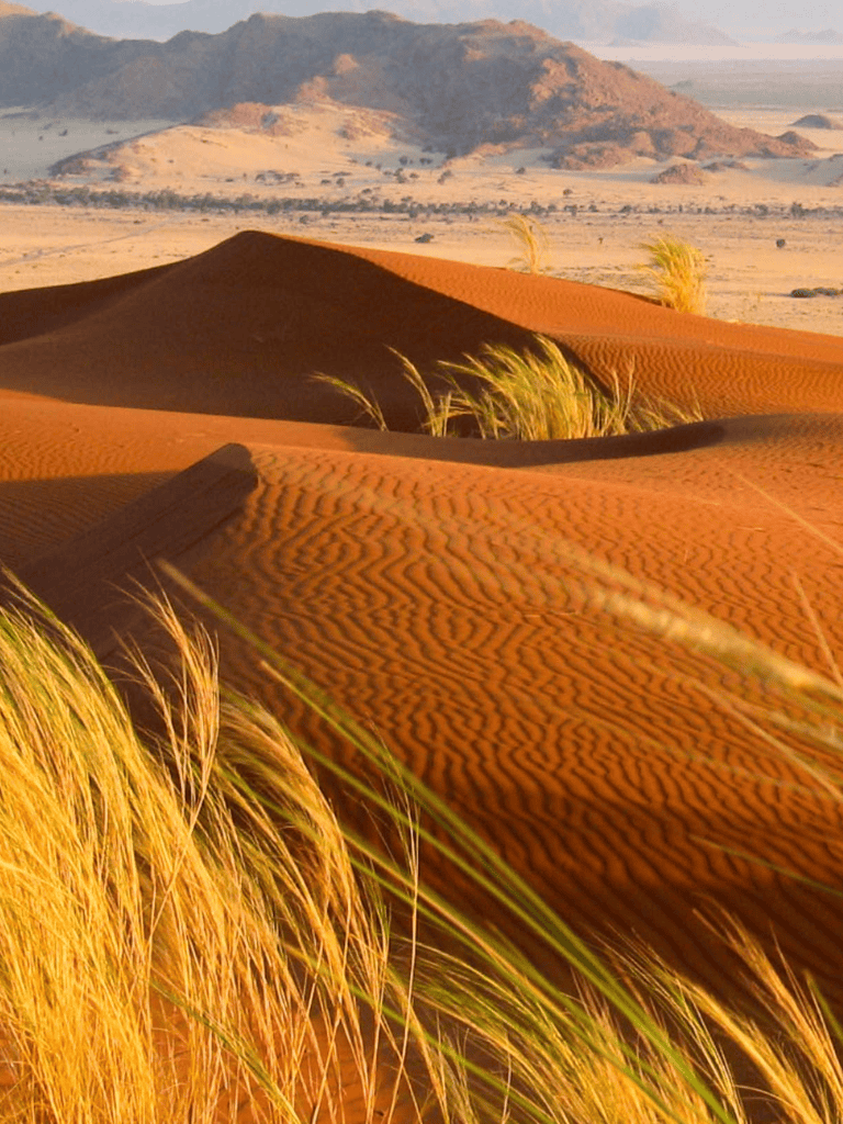 Vast desert landscape with rolling sand dunes and sparse vegetation, scenic view of arid terrain in QuestForDirections image.