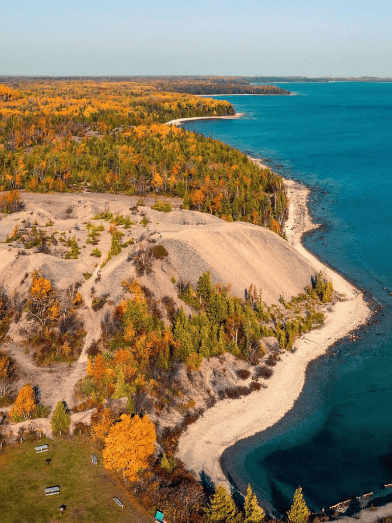 Breathtaking aerial view of Lake Michigan's shoreline with vibrant fall foliage and sandy beaches.