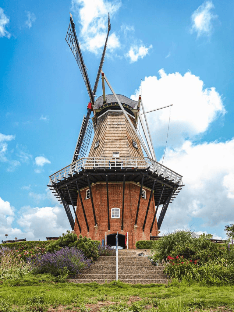 Charming Dutch windmill with lush garden and clear blue sky, perfect for travel and sightseeing.