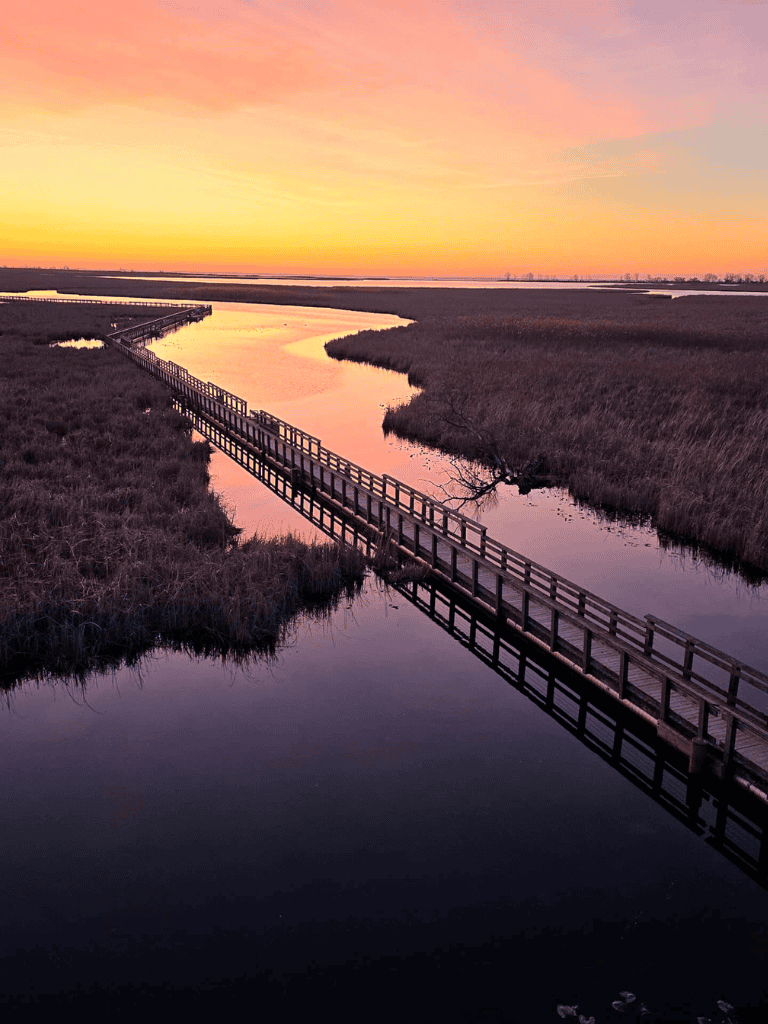 Serene sunset over marshland with wooden boardwalk at QuestForDirections.
