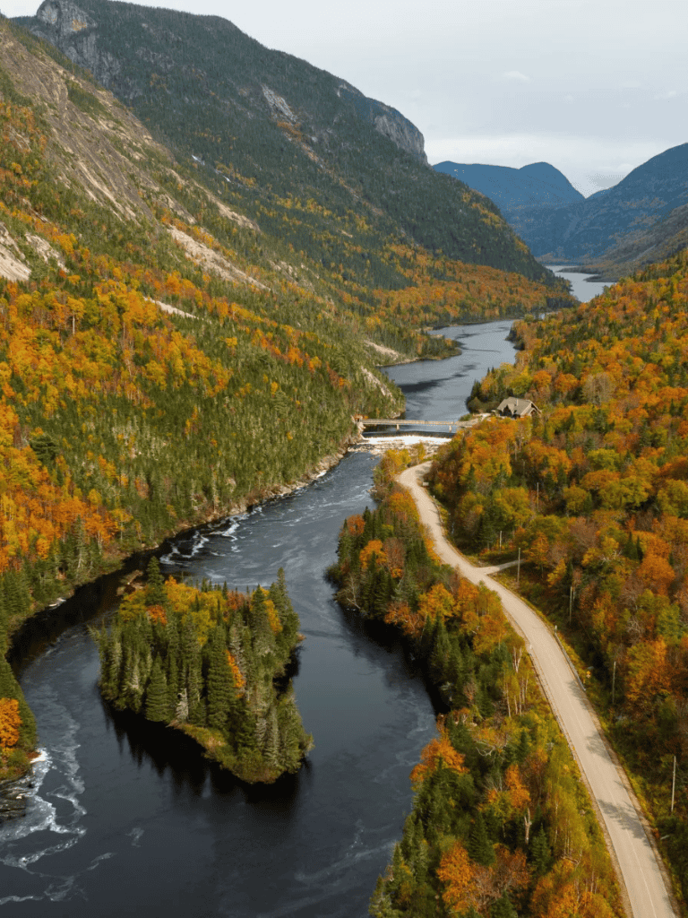 Vast river canyon with colorful autumn foliage and mountainous backdrop, scenic nature landscape.