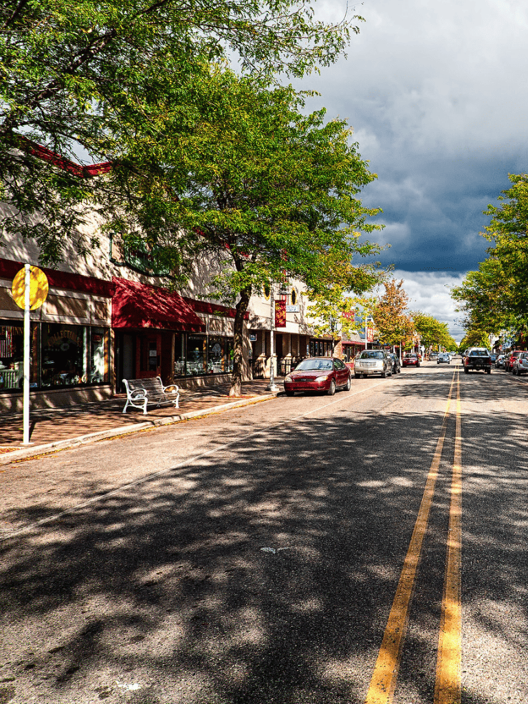 Colorful downtown street with trees, parked cars, and shopping stores under cloudy sky.