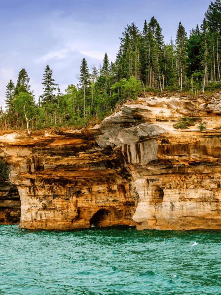 Lush green forest above rugged coastal cliffs with caves, scenic natural landscape, and turquoise water.