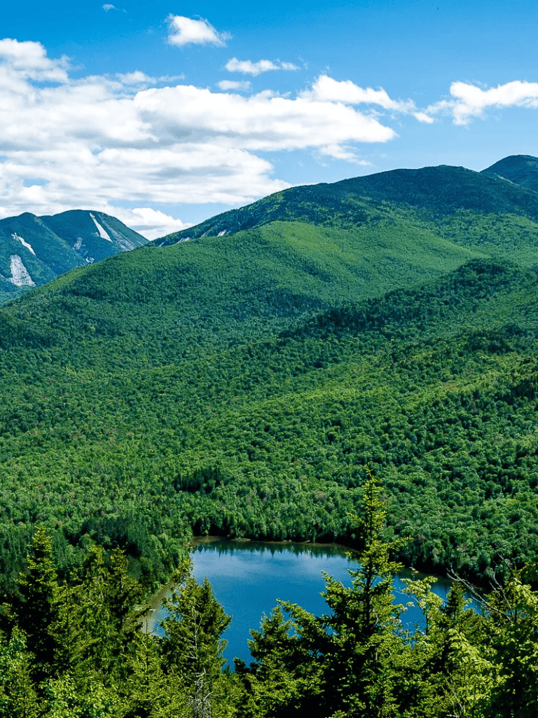 Scenic mountain landscape with lush green forests and a serene lake in the foreground.