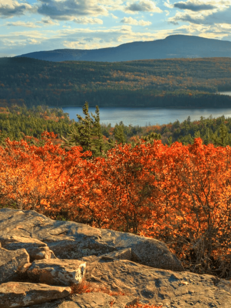 Vast autumn landscape with colorful trees, lake, and mountains, scenic outdoor view for travel and nature exploration.