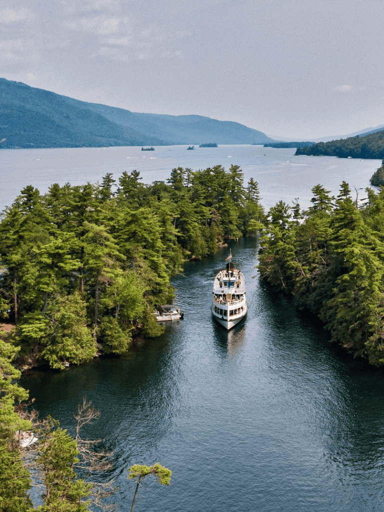 Serene river cruise through lush green forests on a scenic lake with distant mountains.
