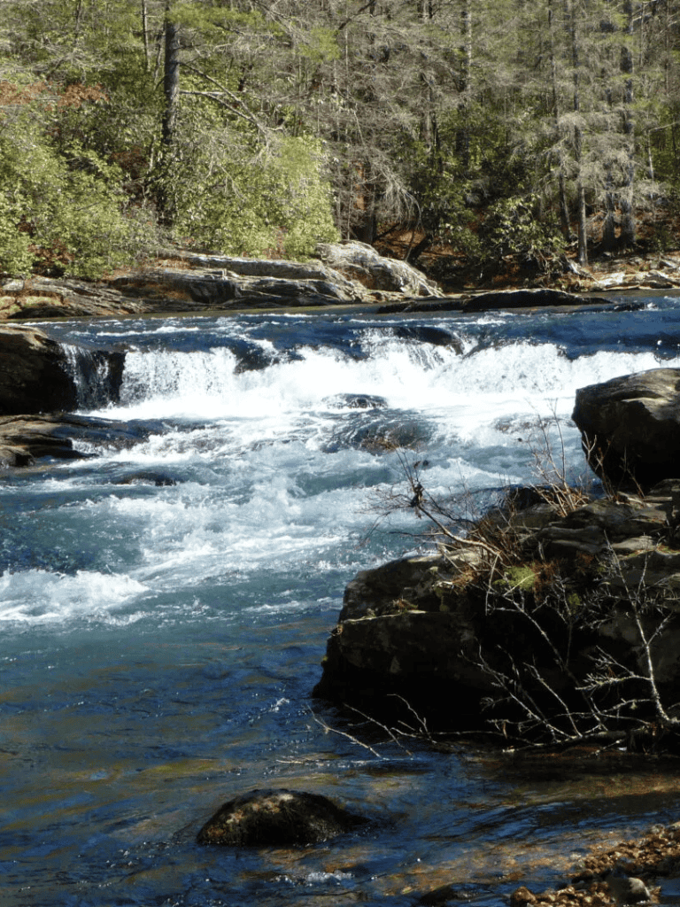 Serene mountain river flowing through lush forest landscape with rocks and clear water.