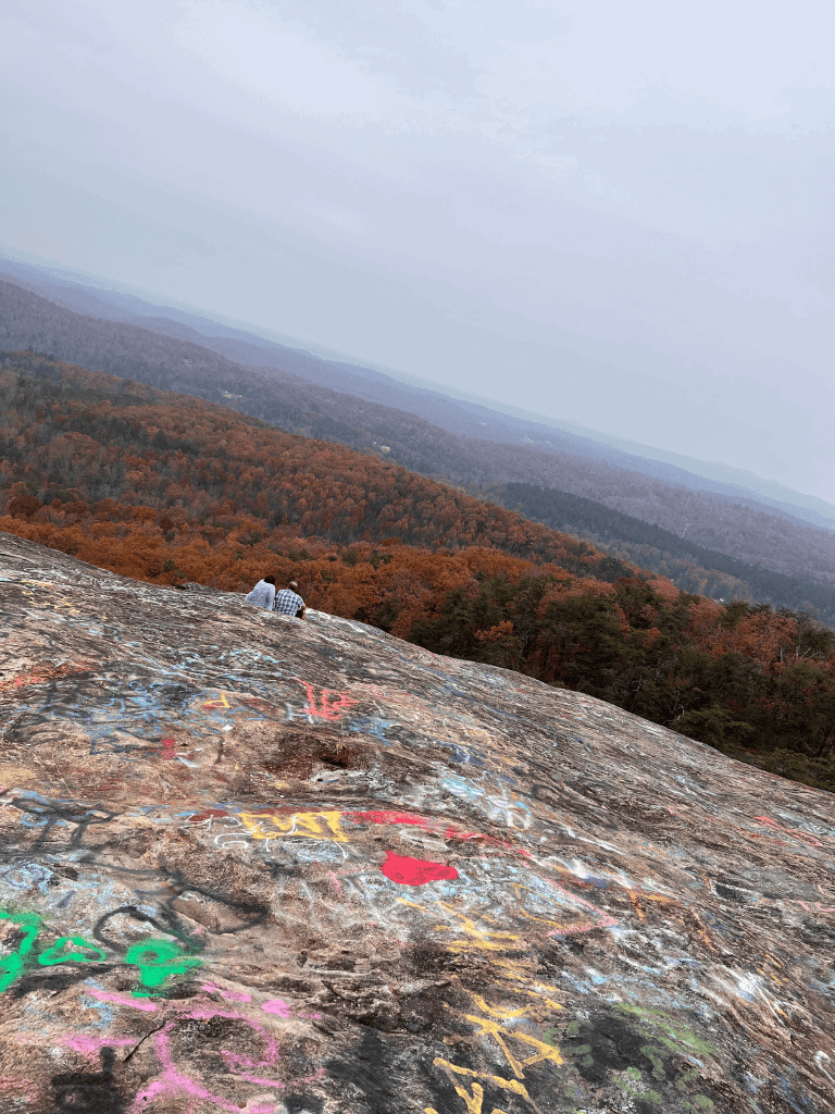 Colorful graffiti on rock at mountain overlook with sprawling autumn forest and distant hills in view.