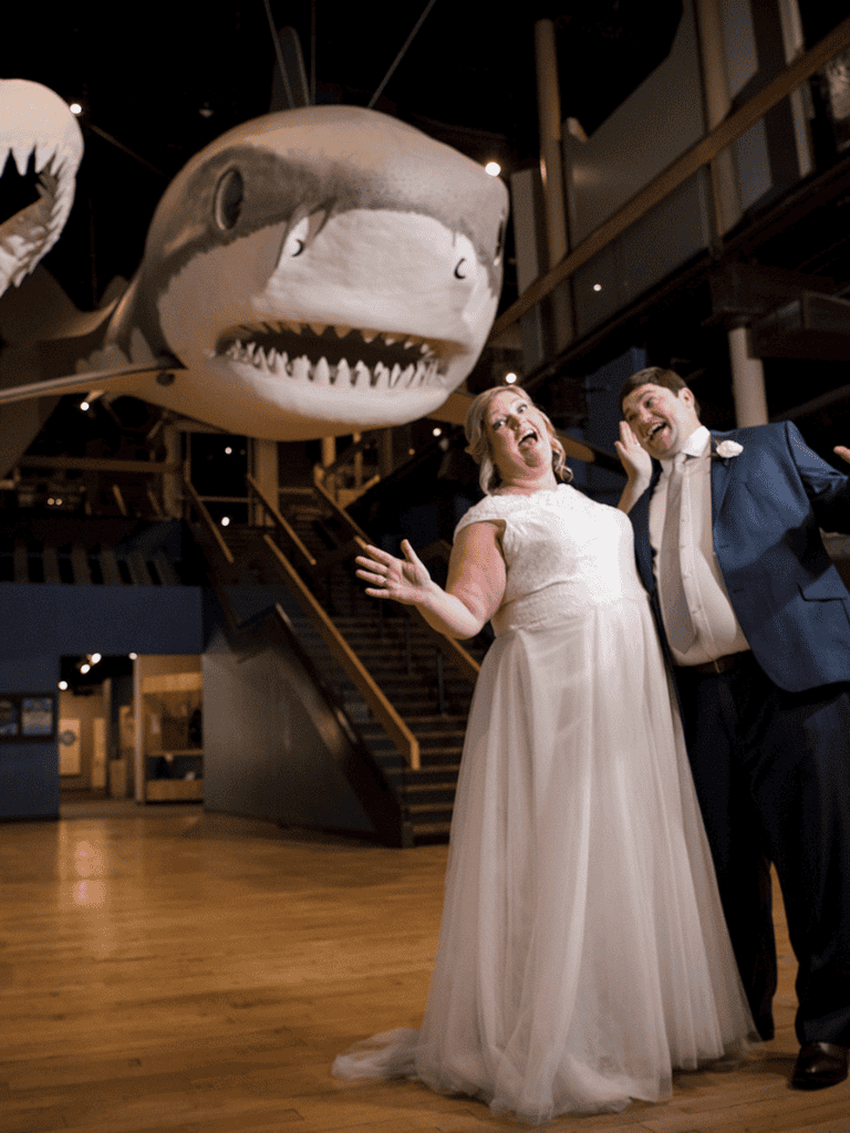 Shark-themed entertainment venue, wedding celebration, fun event in aquarium setting, QuestForDirections.